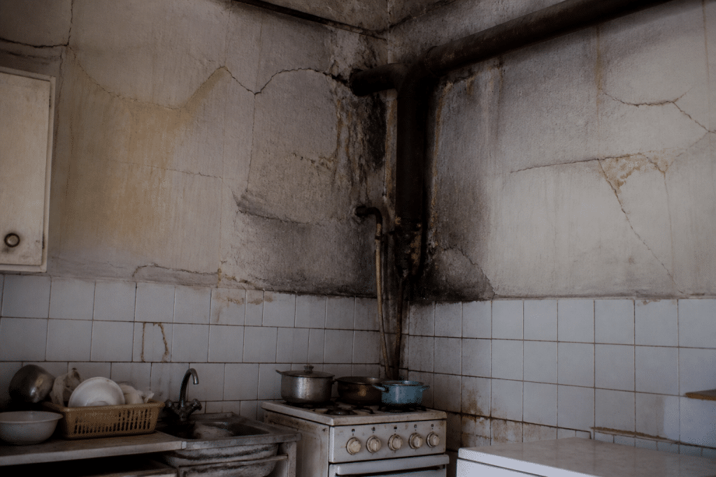 Fissures murales et tuyauteries sombres dans cuisine infestee