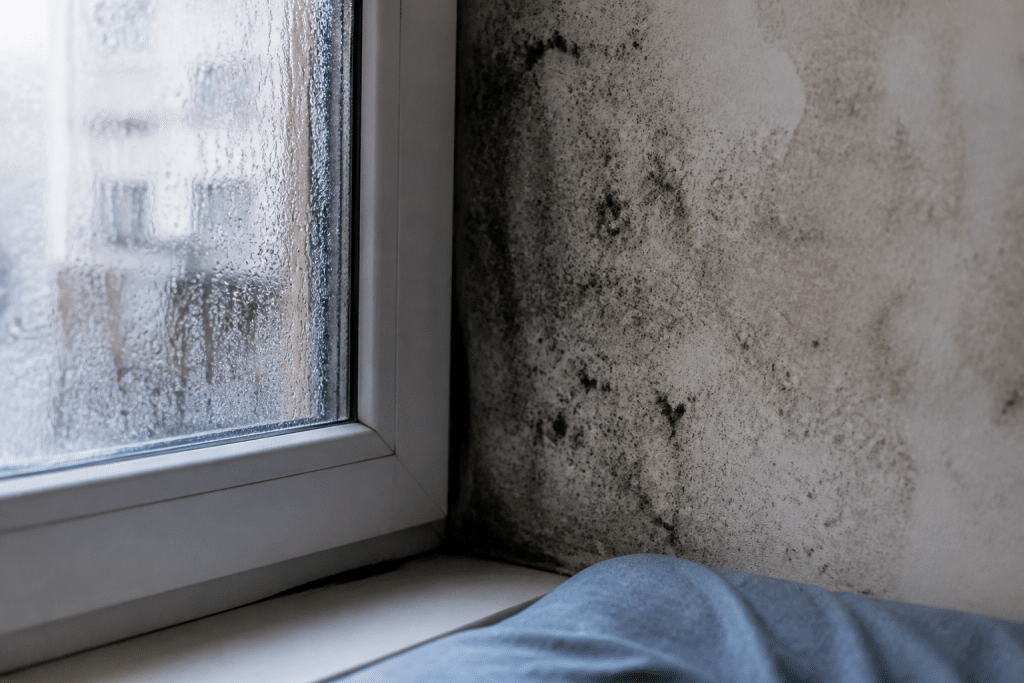 Murs humides couverts de moisissures noires et condensation sur vitre froide