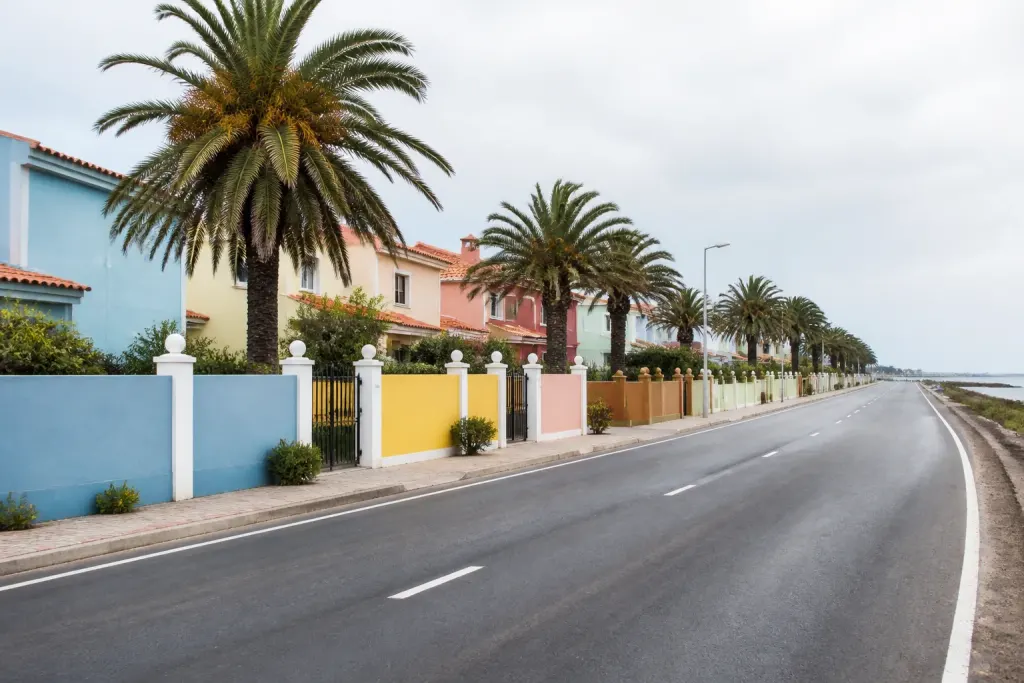 Maisons colorees et palmiers bordant une large route